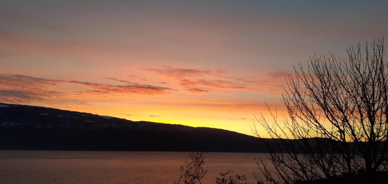 Agriturismo L'Uliveto Gargnano Værelse billede