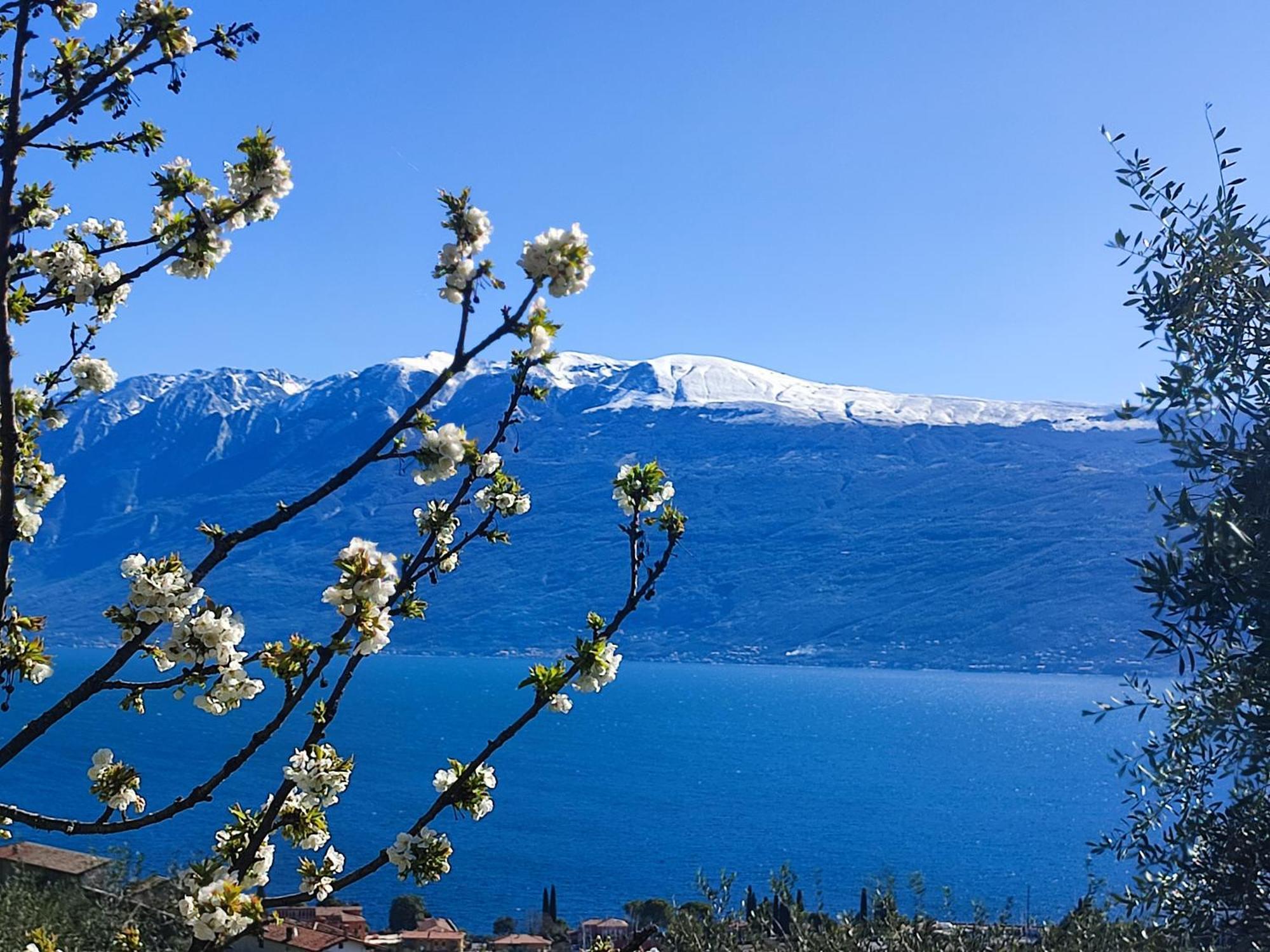 Agriturismo L'Uliveto Gargnano Eksteriør billede