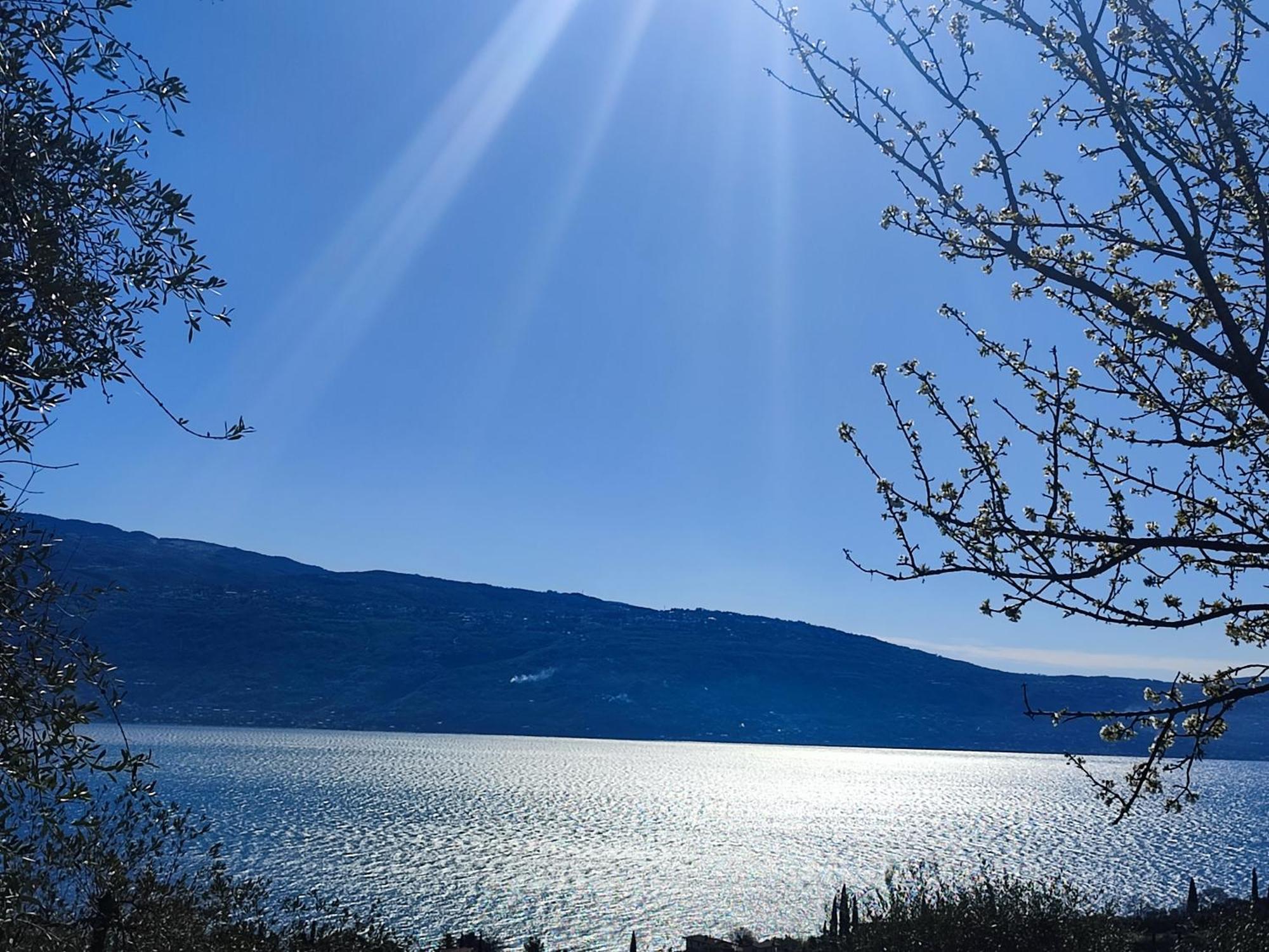 Agriturismo L'Uliveto Gargnano Eksteriør billede